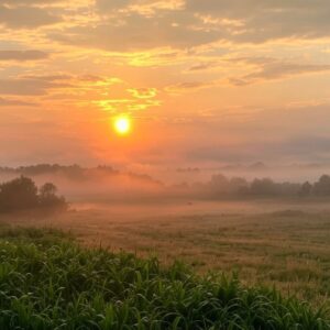 Snázornění Boží moudrosti pomocí slunce a mlhy