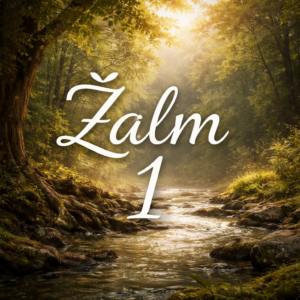 Náhled videa se světlým nápisem ‚Žalm 1‘ nad lesním potokem v ranním světle, klidná a meditativní atmosféra.