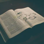 Otevřená Bible s položenými brýlemi na tmavém stole