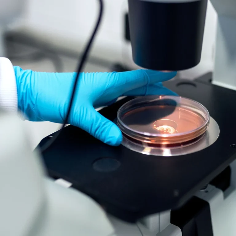 Ruka v ochranné rukavici umisťuje Petriho misku pod laboratorní mikroskop