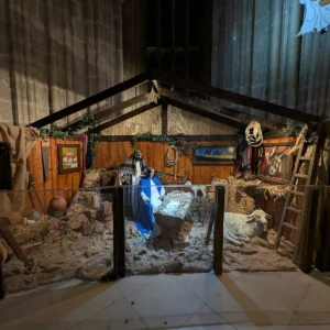Jesličky s osvětleným dítětem, figurami a dřevěnou stájí v katedrále